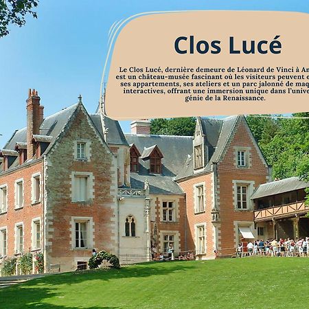 Gite Rabelais - A 5Min Du Chateau D'Amboise Bagian luar foto