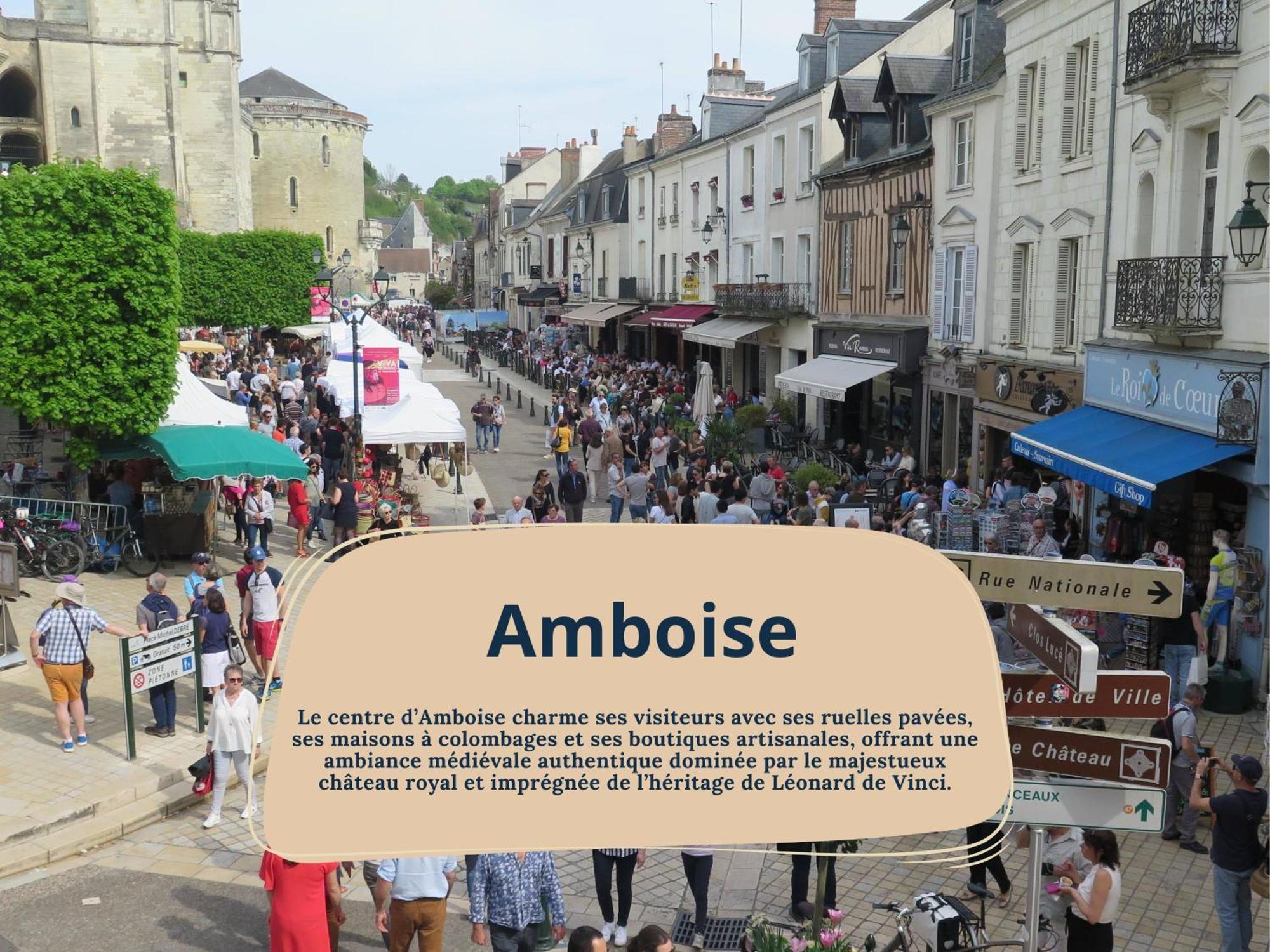 Gite Rabelais - A 5Min Du Chateau D'Amboise Bagian luar foto